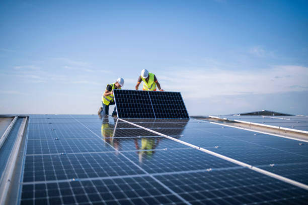 Best Roof Maintenance and Cleaning  in Vernon, AL