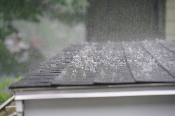 Asphalt Shingles Roofing in Vernon, AL