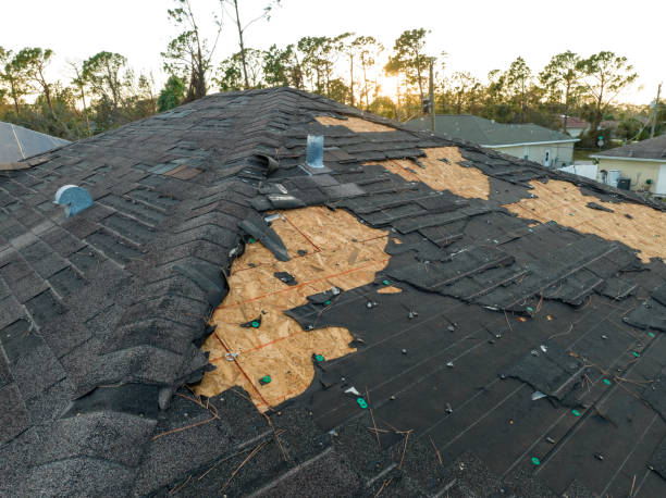 Best Solar Panel Roofing Installation  in Vernon, AL
