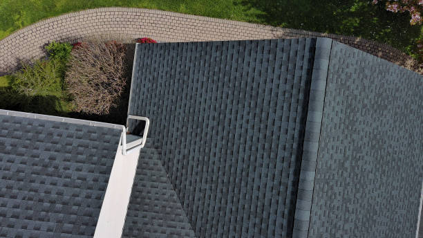 Best Roof Ventilation Installation  in Vernon, AL