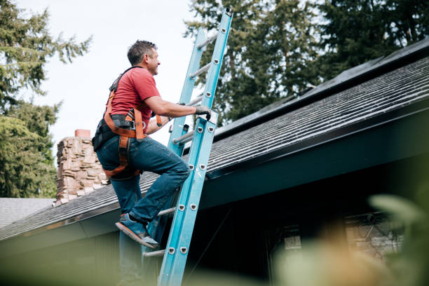Best Skylight Installation and Repair  in Vernon, AL