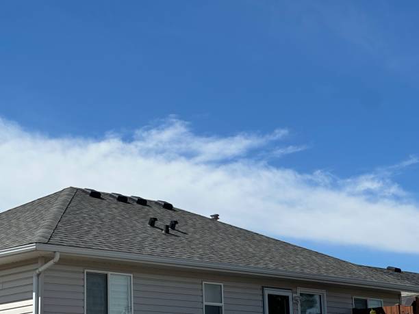 Best Roof Coating and Sealing  in Vernon, AL
